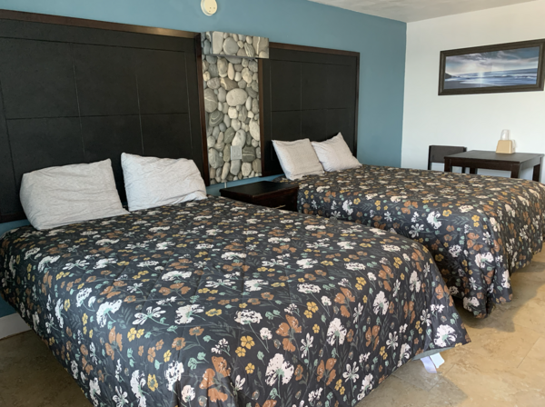 Standard Double 5 Photo 4